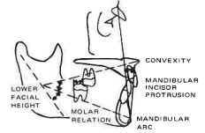 Manual Illustration